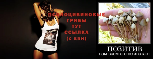 меф Арсеньев