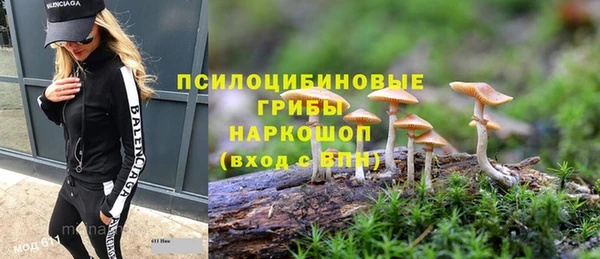 а пвп мука Армянск