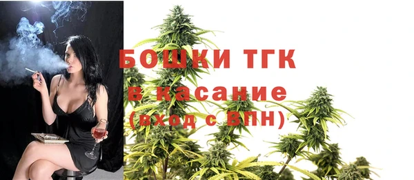меф Арсеньев