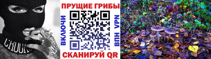 как найти закладки  Асбест  Псилоцибиновые грибы MAGIC MUSHROOMS 