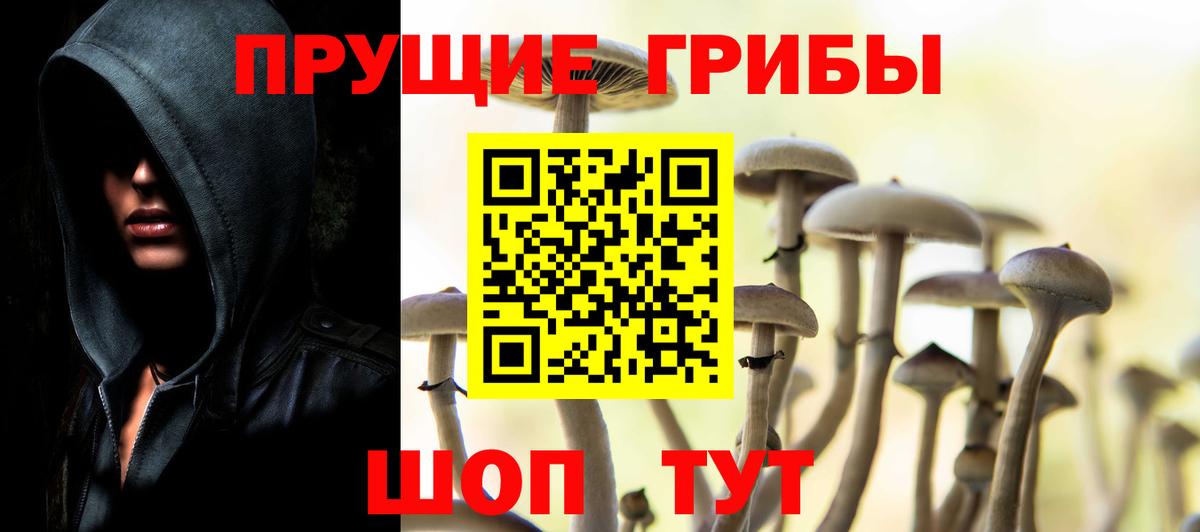 Асбест  Галлюциногенные грибы Magic Shrooms  Вход с VPN 